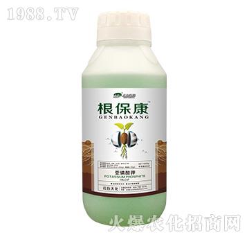 1000g������-���_(t��i)��