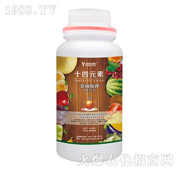 500ml十四元素-云臺大化