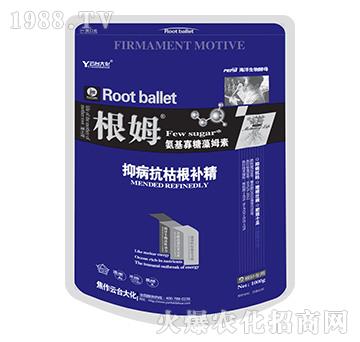 根姆-云臺(tái)大化