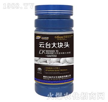 云臺大塊頭-云臺大化