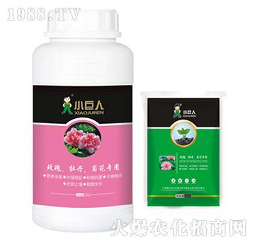 玫瑰、牡丹、菊花專用調(diào)節(jié)劑-小巨人