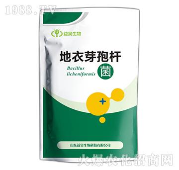 地衣芽孢桿菌-益昊生物