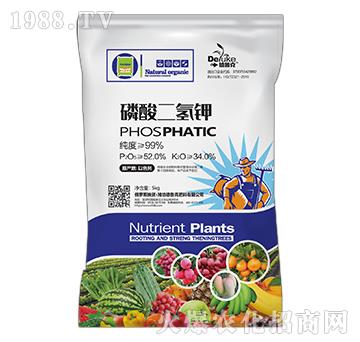 ��������-������-���r(n��ng)˼�_