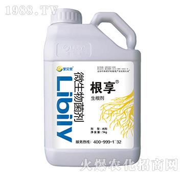 ΢�������-����-��ؐ��