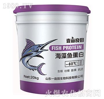 海藻魚蛋白-壹畝良田