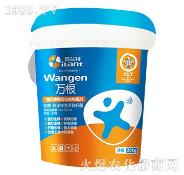 強力生根型微生物菌劑-萬根-喜蘭特