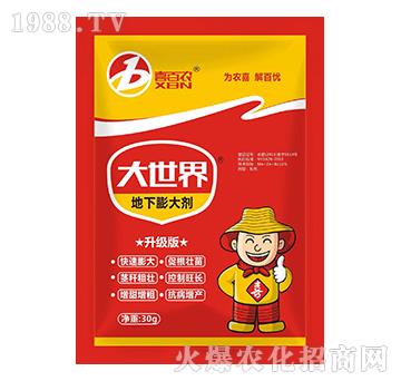 地下膨大劑-大世界-喜蘭特