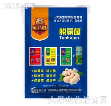 �������M���ײ�-Ó�Ծ�-���˸�