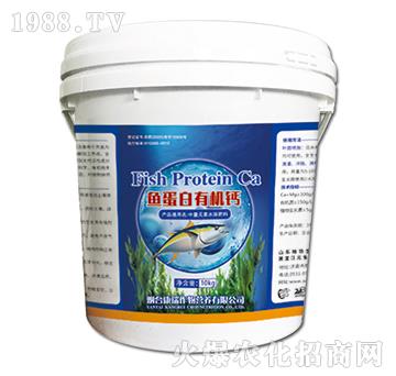 �~(y��)�����ЙC(j��)�}-��������