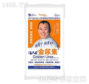 ������-�˴�}-��ِ�