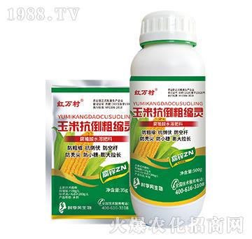 ���׿����ֿs�`-���˹����r(n��ng)��