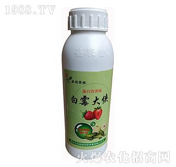 蛋白營養(yǎng)液-白霉大俠-辰盛植物