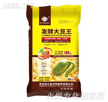 發(fā)酵大豆王-海之藍