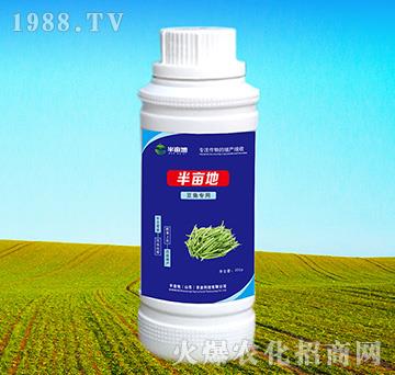 ���ǌ�(zhu��n)���~���-�뮀��