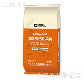 ������}����-ɽ����