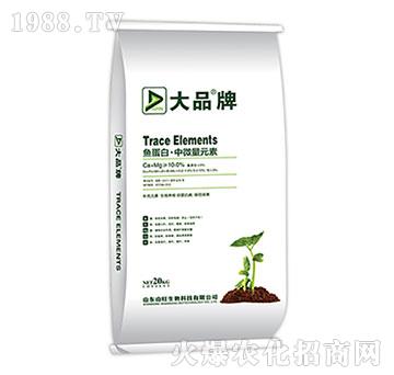 �~(y��)���ס���΢��Ԫ��-ɽ