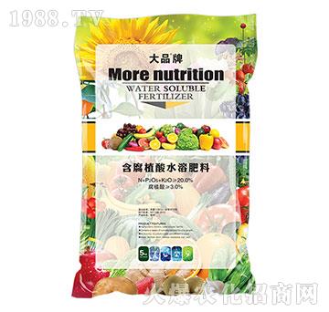 ����ֲ��ˮ�ܷ���-��Ʒ