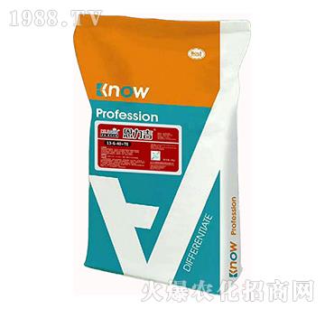 大量元素水溶肥料13-6-40+TE-恩力吉-薩林