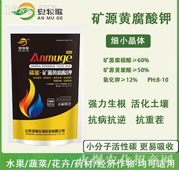 �VԴ�S�����-������-ힲ�����