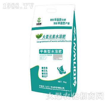 平衡型大量元素水溶肥19-19-19+TE+礦源黃腐酸-半畝地