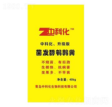 ���l(f��)���g���S-�пƻ�