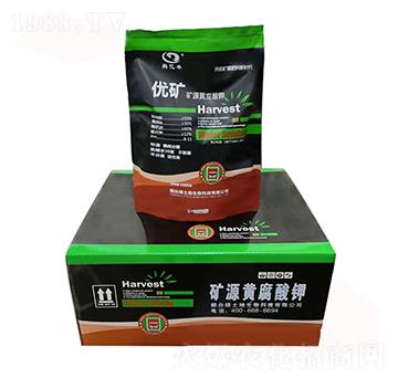 �VԴ�S�����-��(y��u)�V-�G����