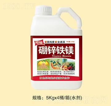 ���\�F�V-�fȪ�r��