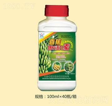 �㽶���L������-�fȪ�r(n��ng)��