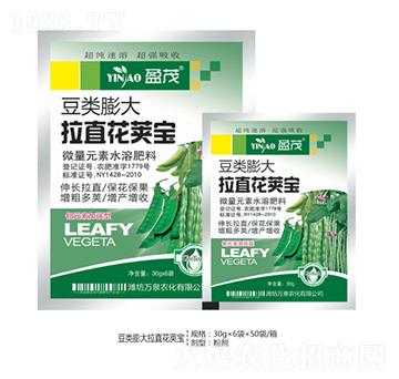 ���(l��i)�����ֱ���v��-�f(w��n)Ȫ�r(n��ng)��