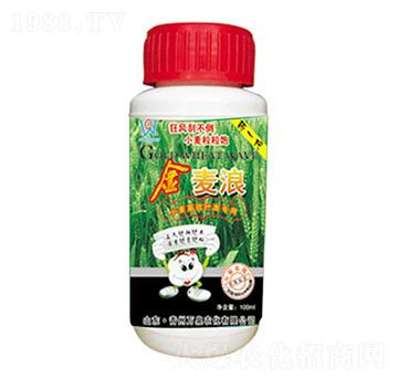 ������-�f(w��n)Ȫ�r(n��ng)��