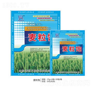 �����-�f(w��n)Ȫ�r(n��ng)��