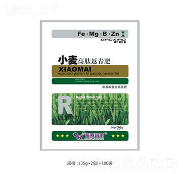 С�����ķ����-�f(w��n)Ȫ�r(n��ng)��