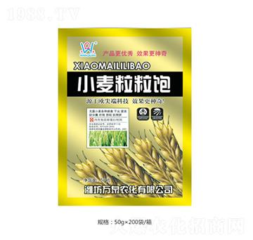 С�������-�f(w��n)Ȫ�r(n��ng)��