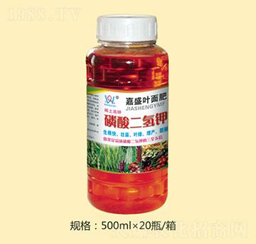 ��������-�f(w��n)Ȫ�r(n��ng)��