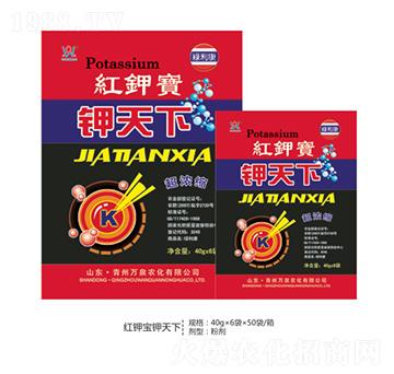 �����-�fȪ�r��