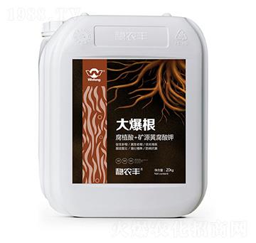 腐植酸+礦源黃腐酸鉀-大爆根-穩(wěn)農(nóng)生物