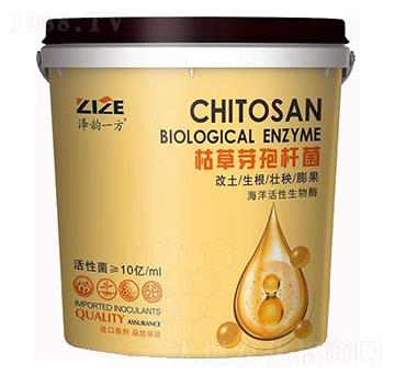 枯草芽孢桿菌-中農(nóng)恒大