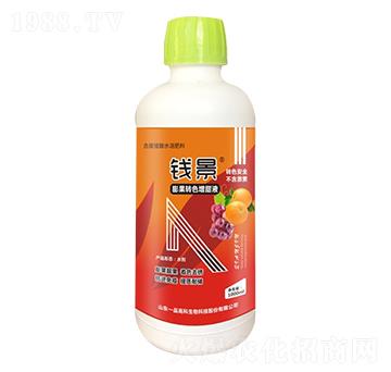 膨果轉(zhuǎn)色增甜液-錢(qián)景-百農(nóng)思達(dá)