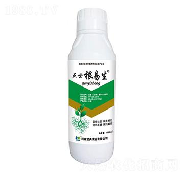 正世根易生-寶典實(shí)業(yè)