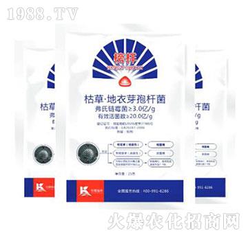 枯草·地衣芽孢桿菌-榜樣-柯易植保