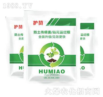 �o(h��)��-����ֲ��