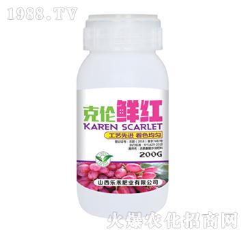 �˂��r�t-����