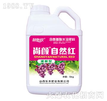 ���?zh��n)�Ȼ�t-��(l��)��