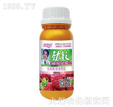 勁鼓草莓專用-樂(lè)禾