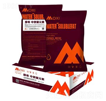 ��΢��Ԫ��-�۹��Է