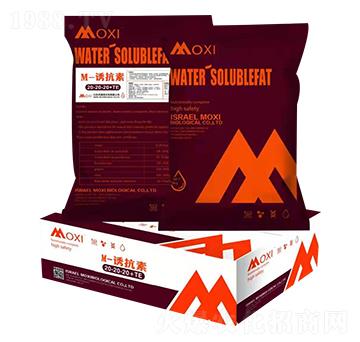 M-�T����20-20-20+TE-Ħϣ-�۹��Է