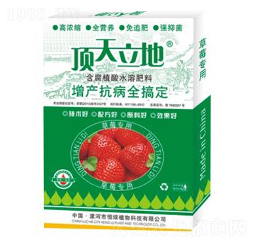 草莓專用含腐植酸水溶肥料-頂天立地-恒綠植物