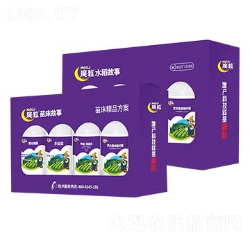 水稻苗床精品方案-魔粒水稻故事-魔粒肥業(yè)