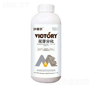 花芽分化-沙德爾-維柯托瑞