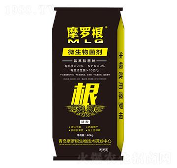 ΢�����������������ۣ�-Ħ�_��-���A����